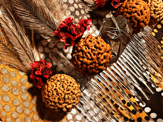 Quandong, Emu Feathers and Red Dried Flowers Hair Piece with Smokey & Clear Quartz