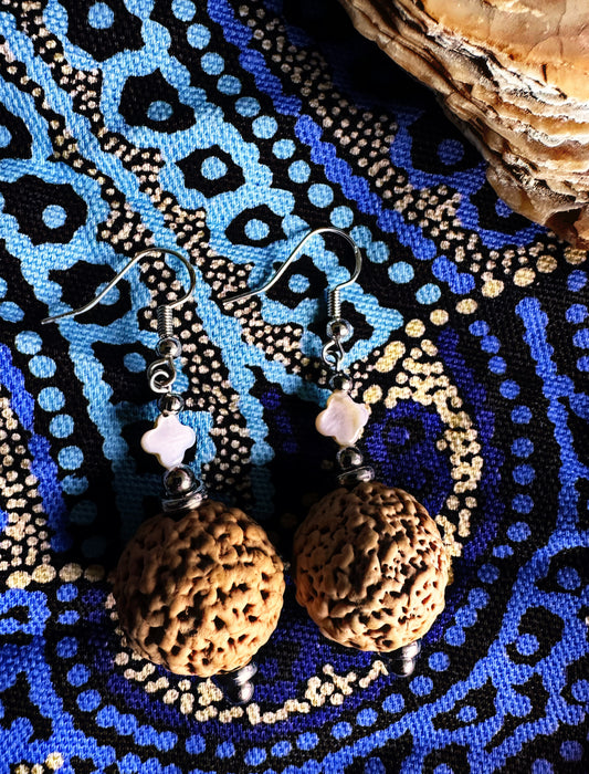 4 Leaf Clover Shell Quandong Earrings